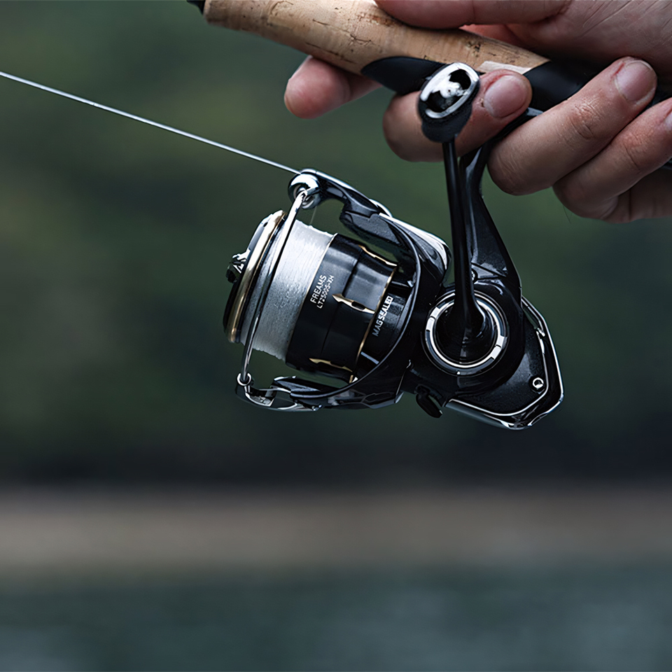 DAIWA 2026 FREAMS Spinning Ree - Daiwa Reel Bg 评论和价格