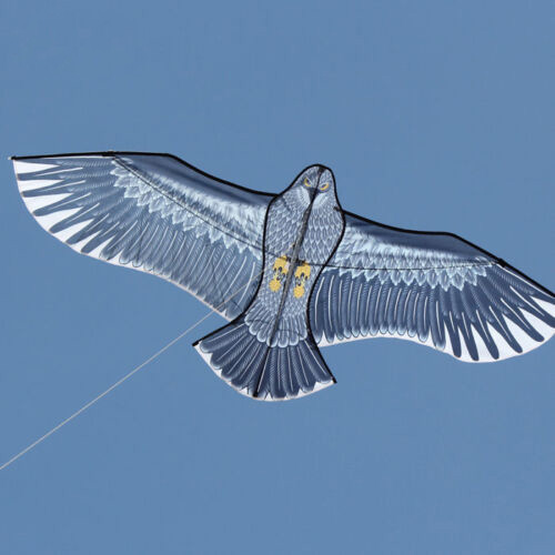 NEW Arrive Outdoor Fun Sports  - Fly Line 评论和价格